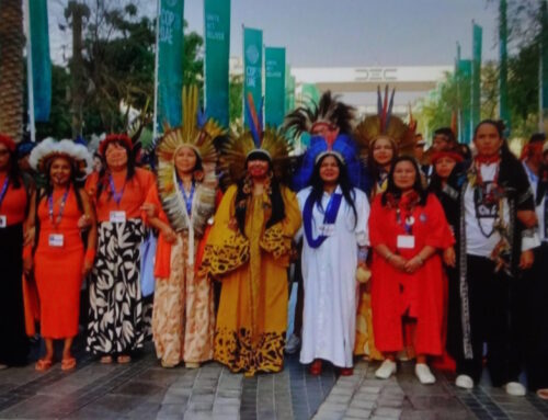 VIDS op COP28 in Dubai